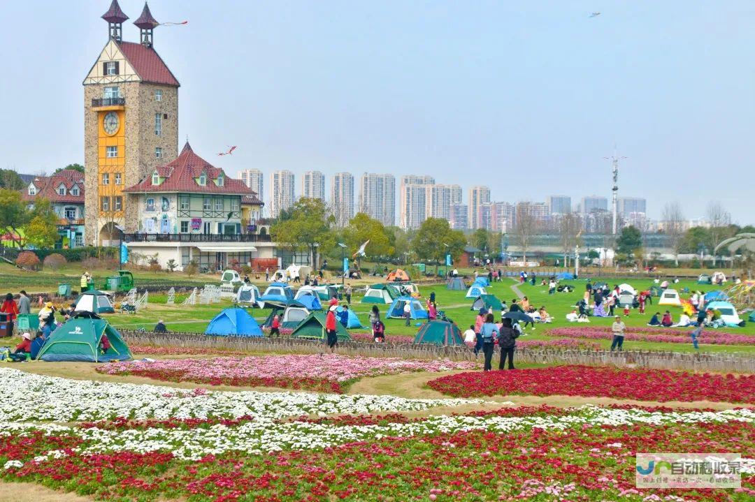 蔡甸网：连接蔡甸人，分享蔡甸事